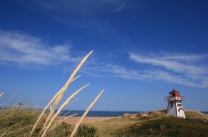 PEI Mate 034 PEI Mate 034