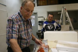 PEI Mate 052 PEI Mate 052