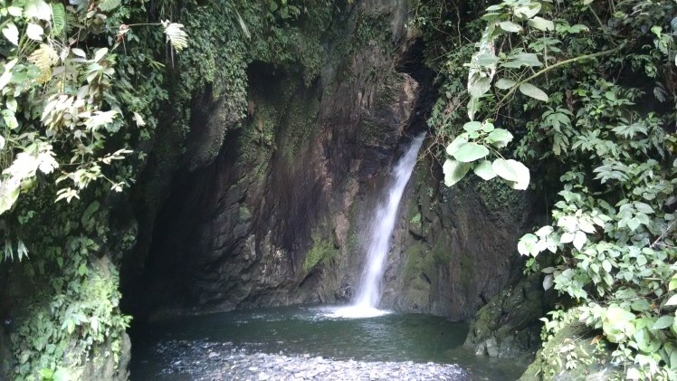 IMG_20150323_133920643