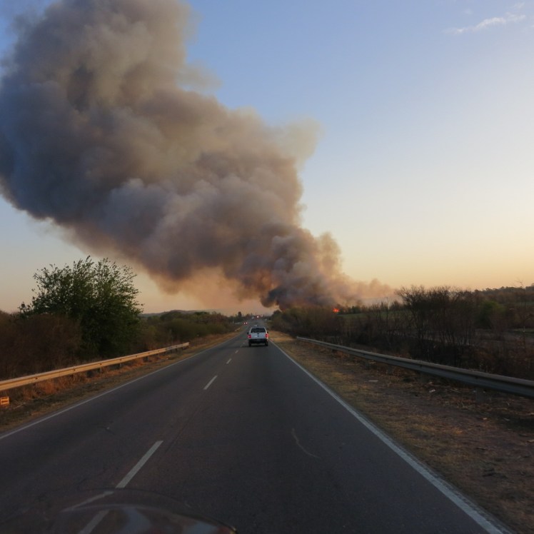 Incendio muy próximo a la cerretera