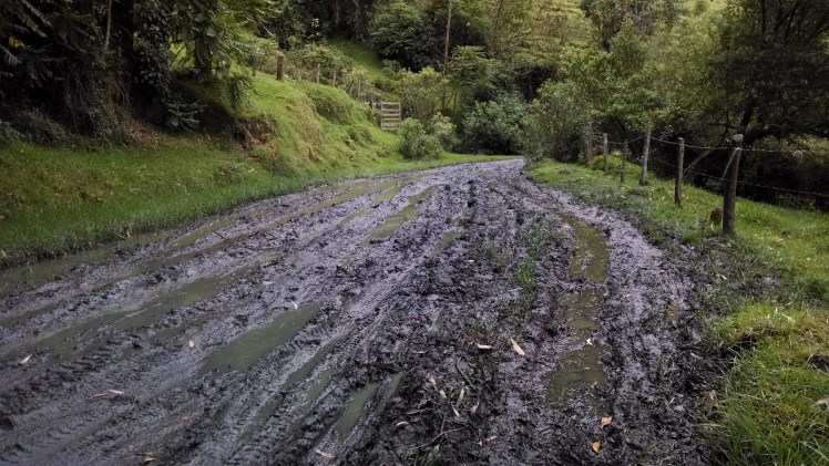 Solo un poquito liso....