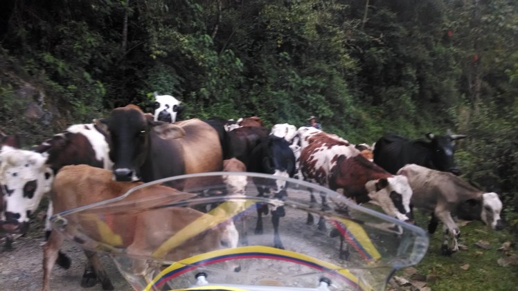 Tráfico pesado. Difícil adelantar.