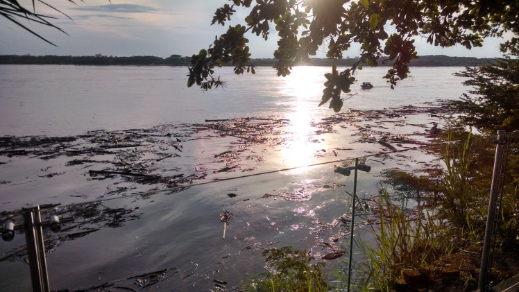 IMG_20141012_164612991_HDR