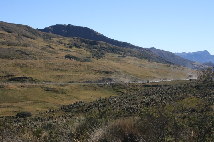 Amplie esta foto !! Al fondo los rastros de la polvareda motociclistica. Foto de Catalina Bueno