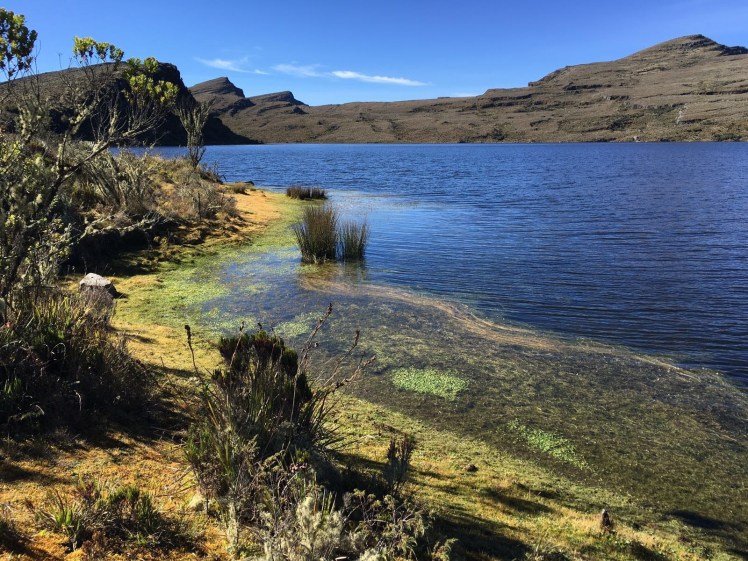 Laguna de Los Tunjos - Foto de Pedro Sosnitsky