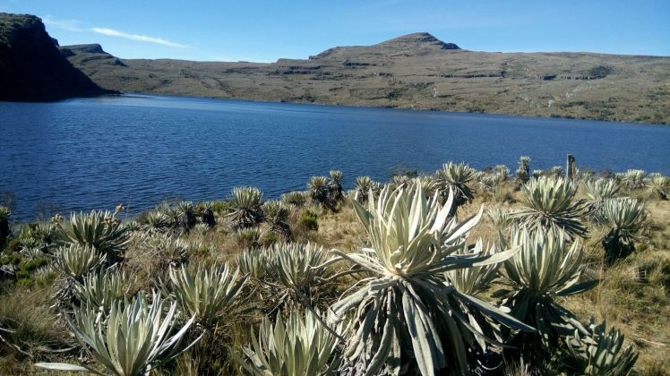 Laguna natural de Los Tunjos