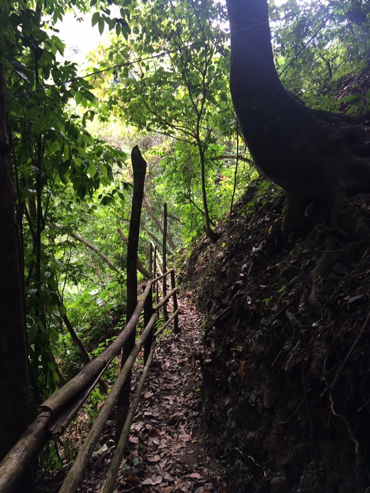 Caminos a la Cascada de la Peña - Foto de Roberto Zuleta