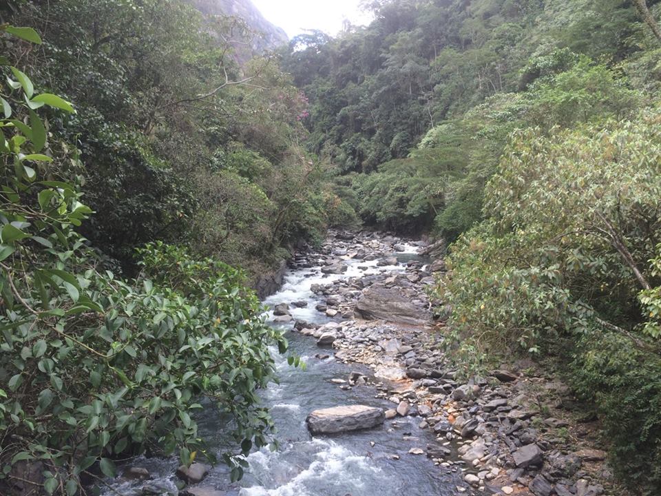 Afluentes del Rio Negro * Foto de Jaime Oviedo