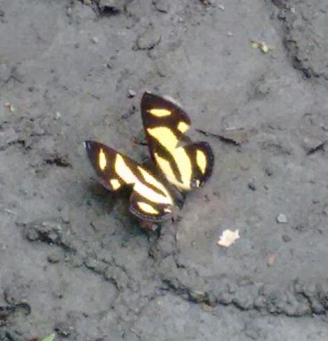 Otra mas.... Foto de Maria Jose Bueno