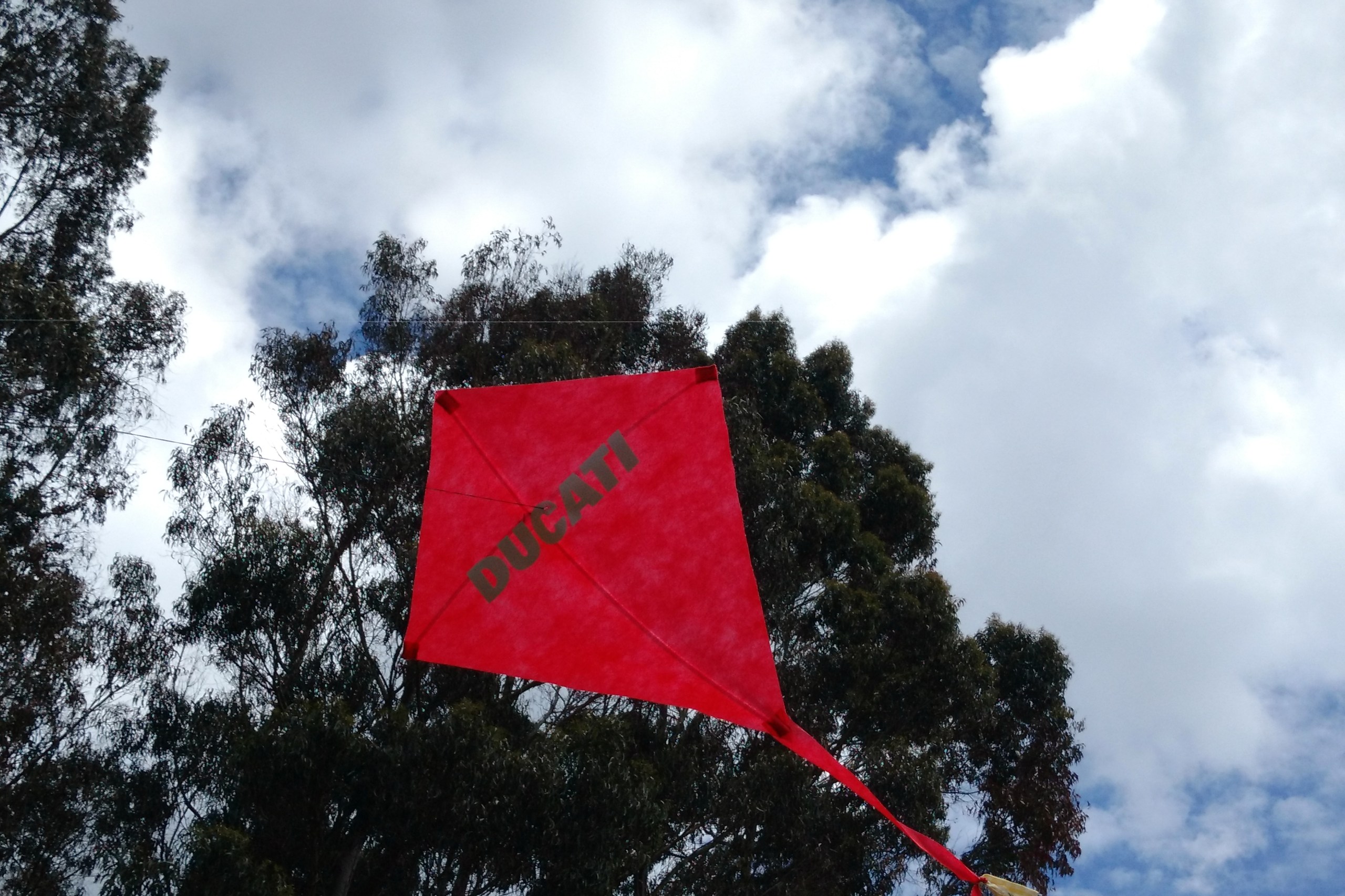 Viajerosdel Sur (23)