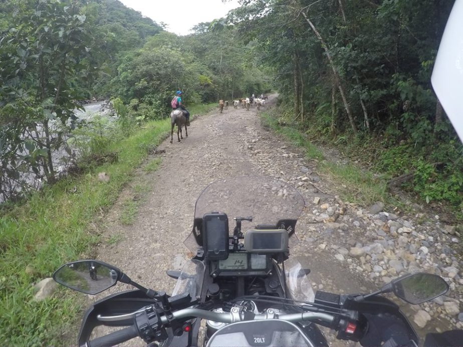 camino-labranza-r-zuleta