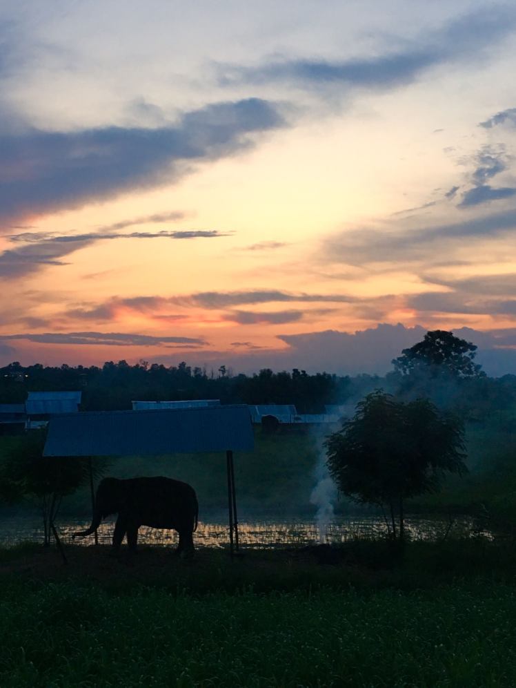 FullSizeRender 4_sml